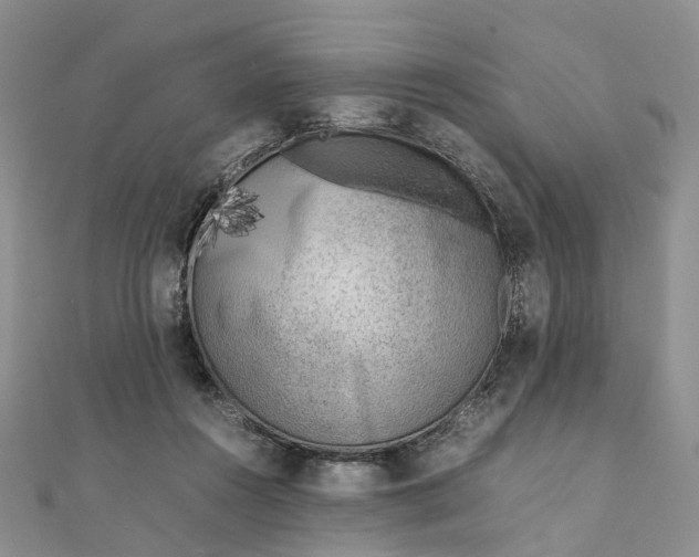 X0000111920360200908101226