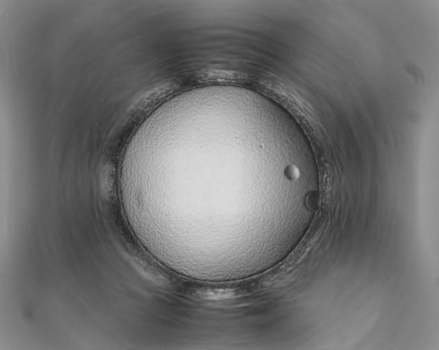 X0000111920361200908101226