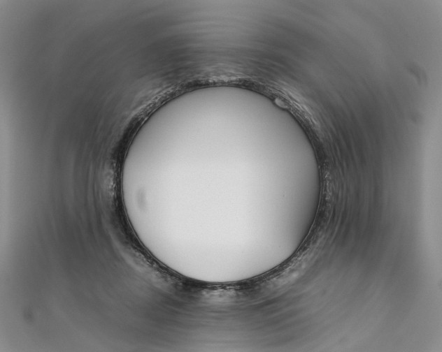 X0000111920362200908101226