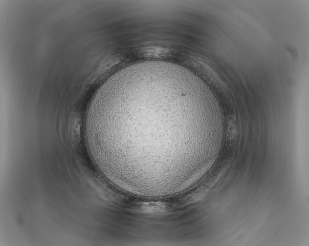 X0000111920363200908101226