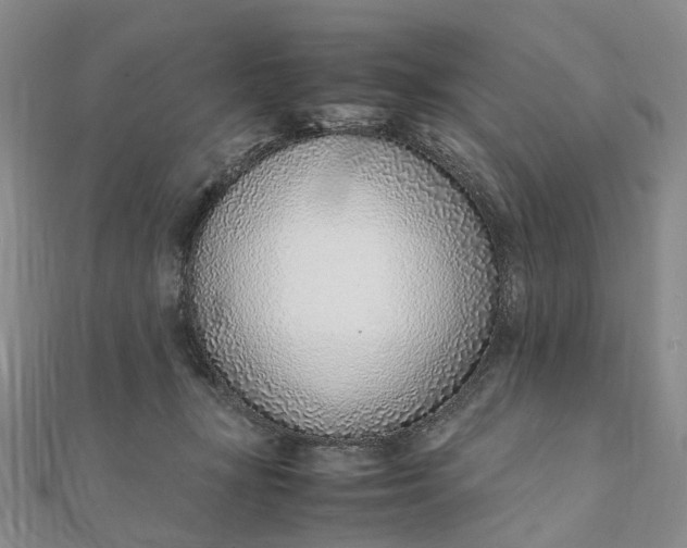 X0000111920367200908101226