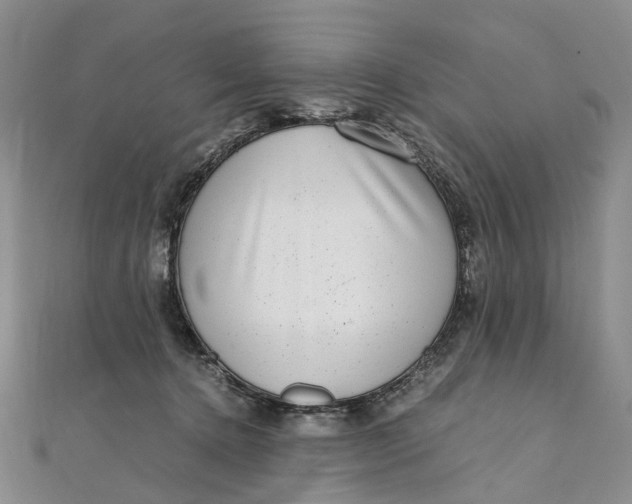 X0000111920368200908101226