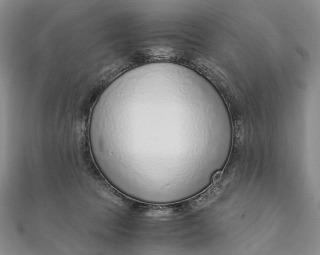 X0000111920369200908101226