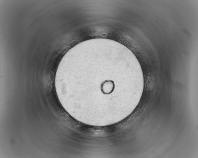 X0000111920370200908101226