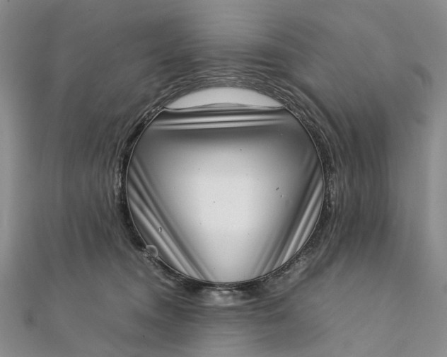 X0000111920372200908101226