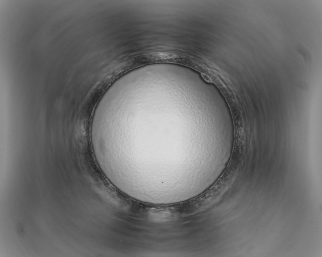 X0000111920373200908101226