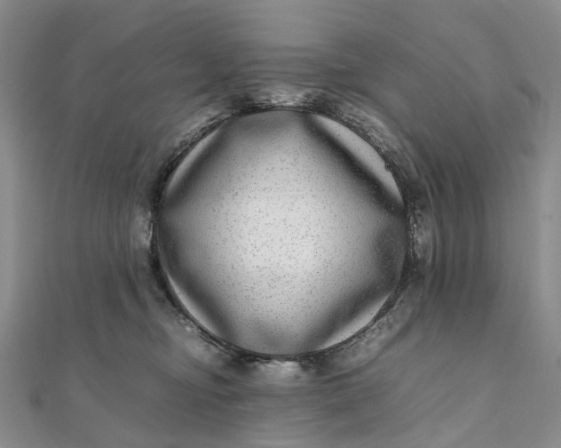 X0000111920374200908101226