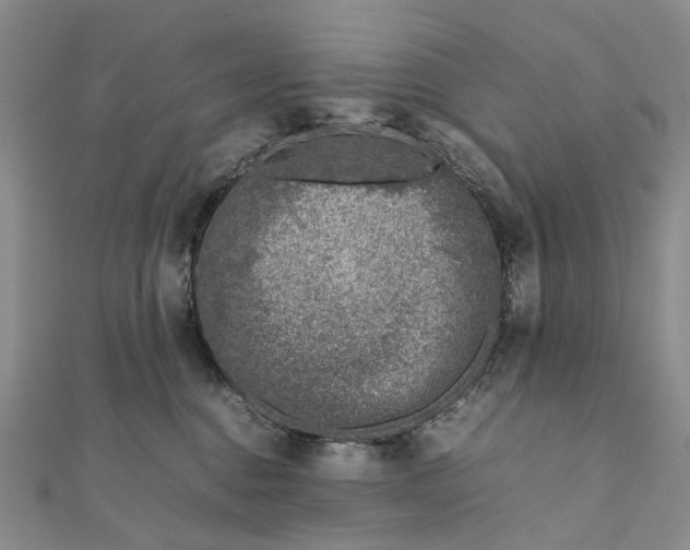 X0000111920376200908101226