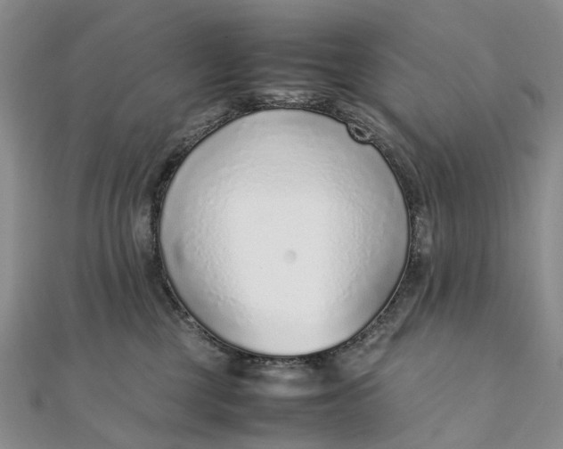 X0000111920377200908101226