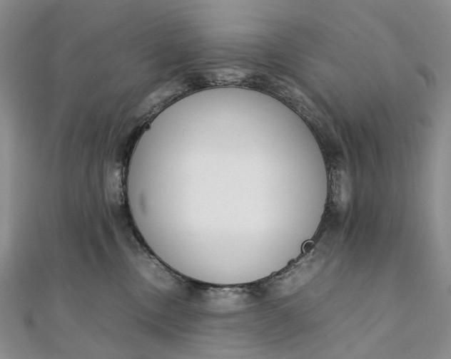 X0000111920378200908101226