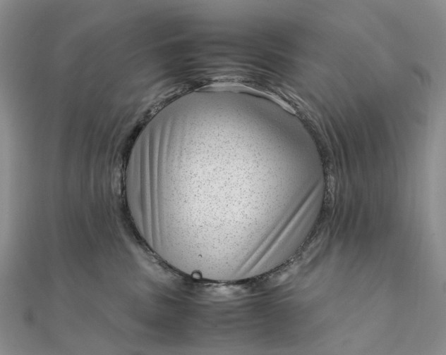 X0000111920379200908101226