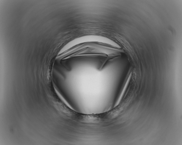 X0000111920380200908101226