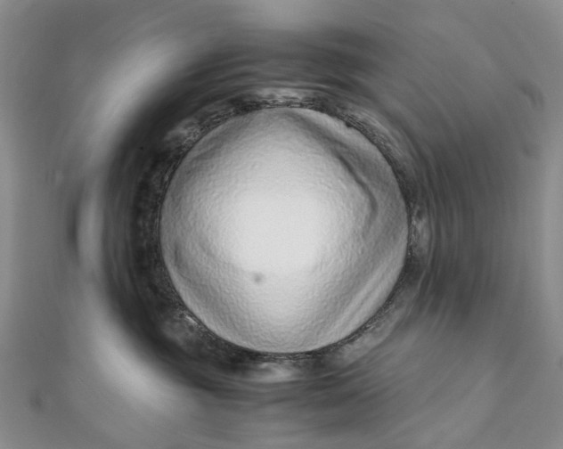 X0000111920381200908101226