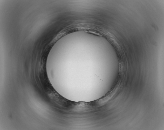 X0000111920382200908101226