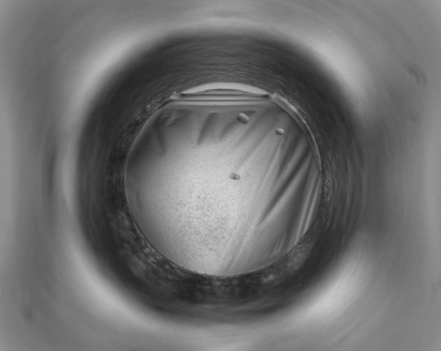 X0000111920383200908101226