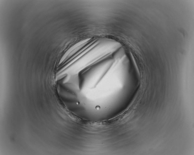 X0000111920384200908101226