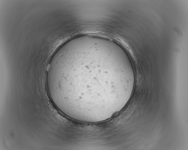 X0000111920385200908101226