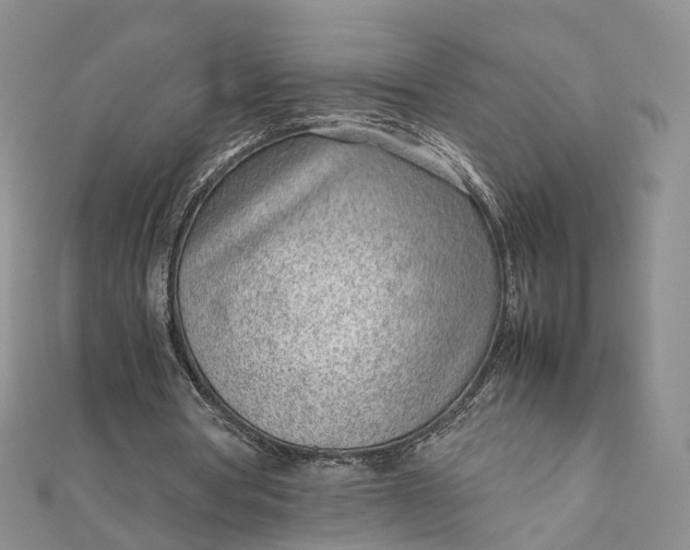 X0000111920386200908101226