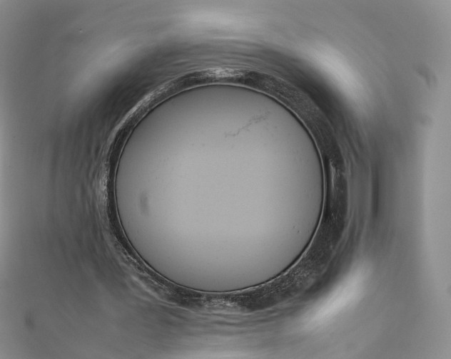 X0000111920387200908101226