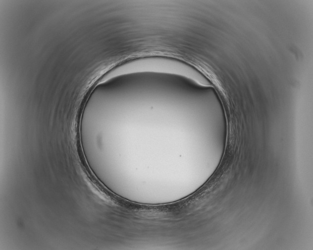 X0000111920389200908101225