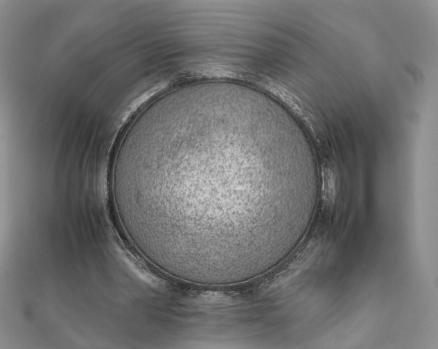 X0000111920390200908101225