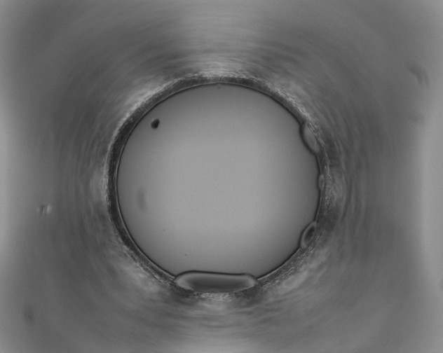 X0000111920391200908101225