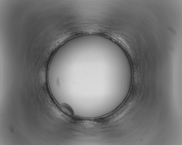 X0000111920393200908101225