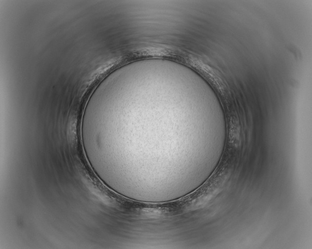 X0000111920394200908101225