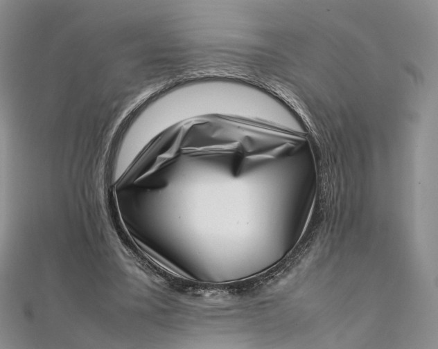 X0000111920395200908101225