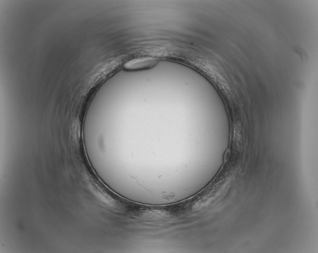 X0000111920397200908101225