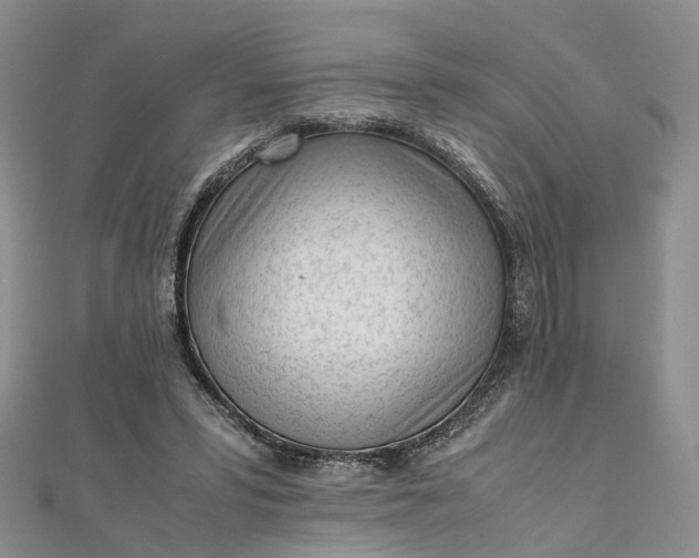 X0000111920399200908101225