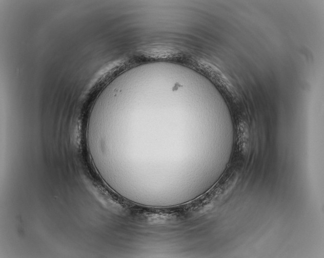 X0000111920400200908101225