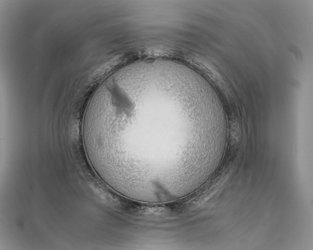 X0000111920401200908101225