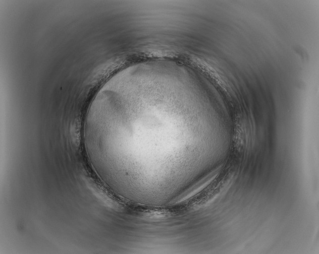 X0000111920402200908101225