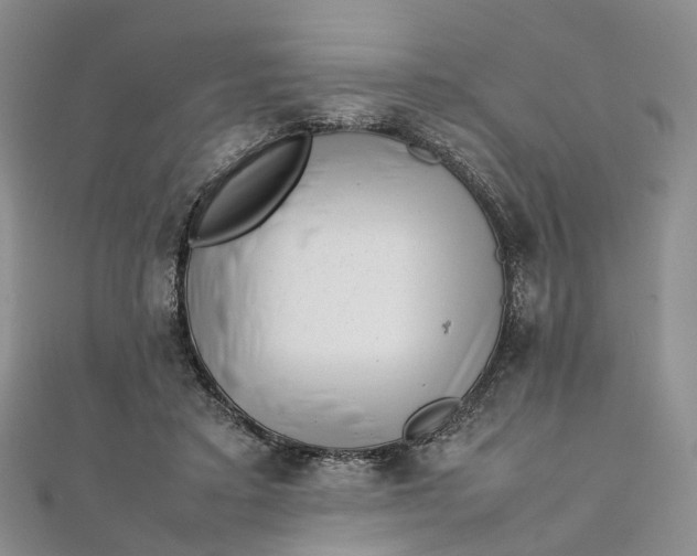 X0000111920403200908101225