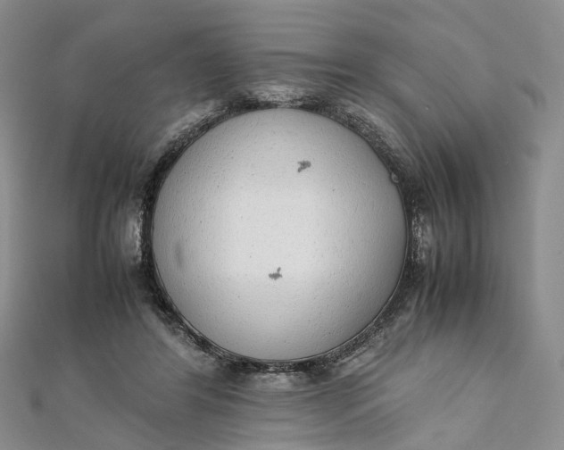 X0000111920404200908101225