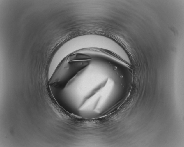 X0000111920405200908101225