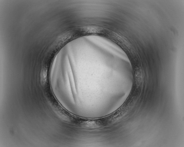 X0000111920406200908101225