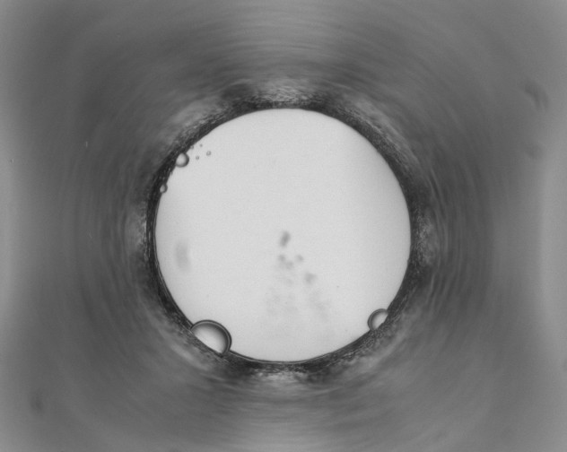 X0000111920407200908101225