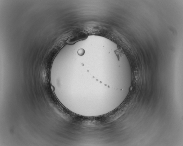 X0000111920408200908101225