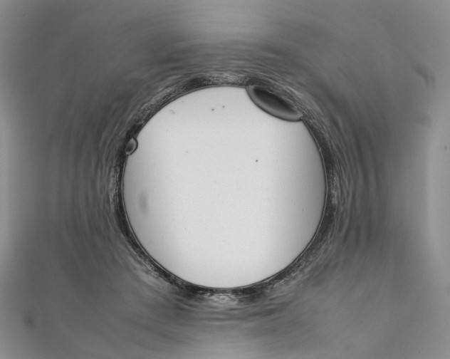 X0000111920409200908101225