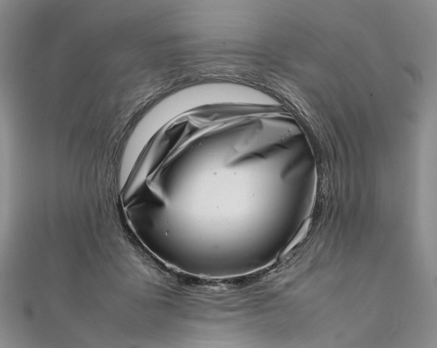 X0000111920411200908101225