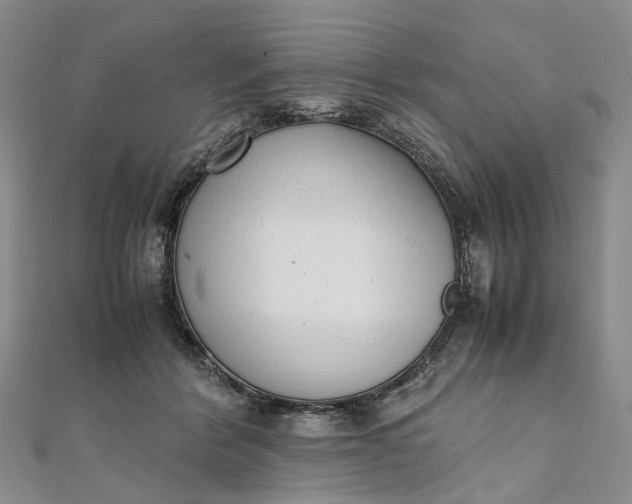 X0000111920412200908101225