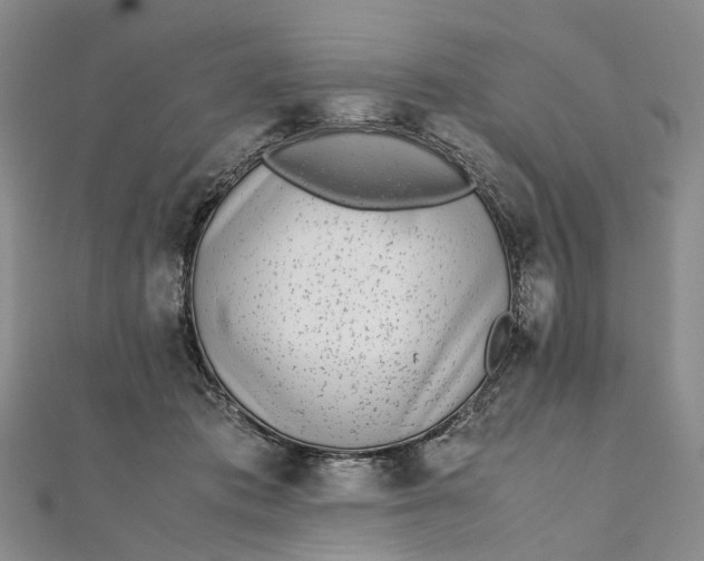 X0000111920413200908101225