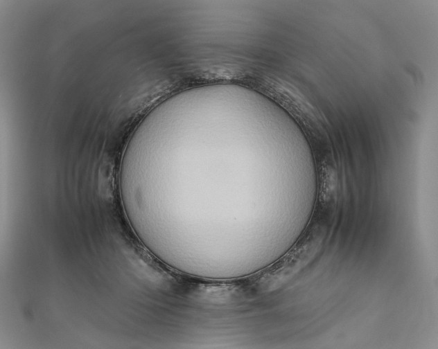 X0000111920414200908101225