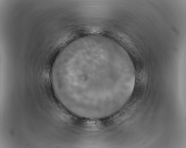 X0000111920415200908101225