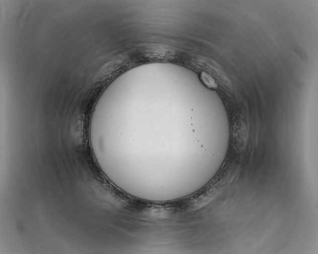 X0000111920416200908101225