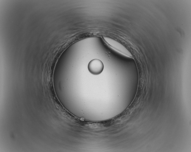 X0000111920417200908101225