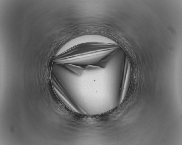 X0000111920419200908101225