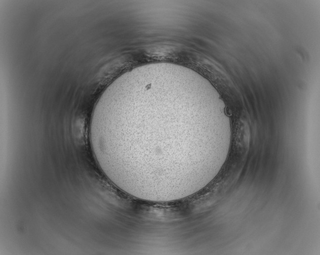 X0000111920420200908101225